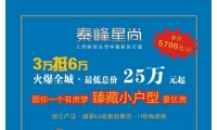 秦峰星尚/地铁房/国家4A级景区/超低总价28万，自住/投资/旅游/办公 一体化公寓